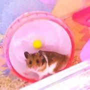 ❤︎美桜❤︎
