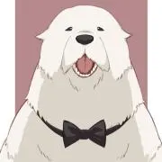 ボンドの画像