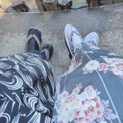 pechi*の画像
