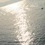 Qの画像