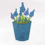 みさ