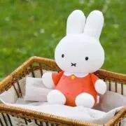 のんの画像