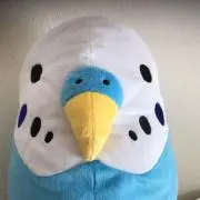 まこちゃんの画像