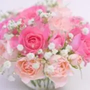 ♡miii♡の画像