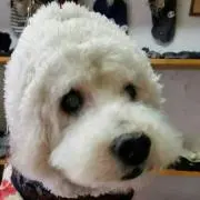 KUMI