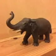 ゆーきんの画像