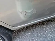 ぴょんの画像