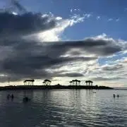 novcosの画像