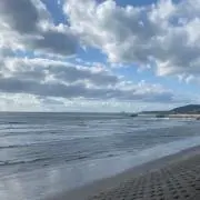 玉子の画像