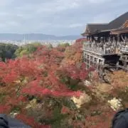 にょの画像