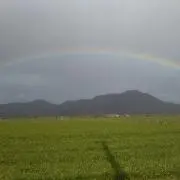 りこの画像