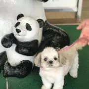 ネロハナ