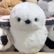 AAAの画像