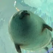 ☆ウメちゃん☆の画像