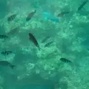 くま♪プロフ必読必須！