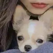 ころんころんの画像