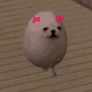 いぬの画像