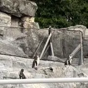 Houの画像