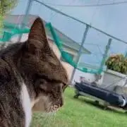 さんちゃん