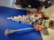 知人Nの画像