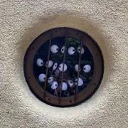 ぴこの画像