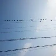 ななおの画像