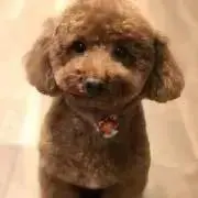 さくちゃん☆