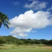 cocomamの画像