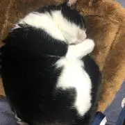 りょう