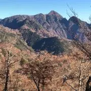 グチの画像