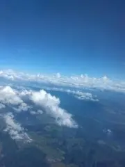 くまモンの画像