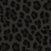 りおの画像