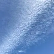 りんこの画像