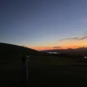 neneの画像