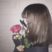 シオンの画像