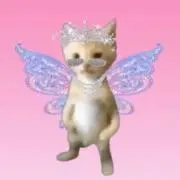 ねこの画像