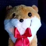 人生に疲れた【カワウソ】の画像