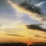 ななの画像