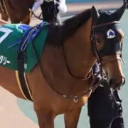 アララォの画像