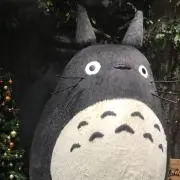 amsの画像