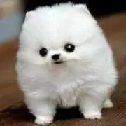 坂本