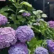 r/プロフご確認くださいの画像