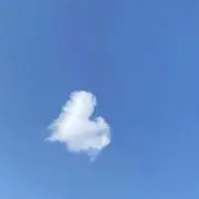 a⭐︎の画像