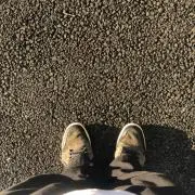 かひの画像