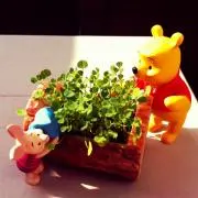 poohの画像