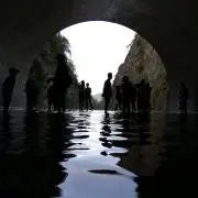 こんたぬきの画像