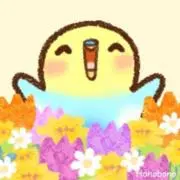 saraの画像