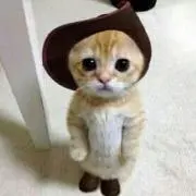 ぽんたん