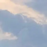 すんすんの画像