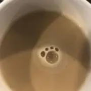 しばこの画像